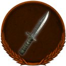 Trophy/Achievement Icon