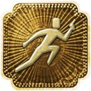 Trophy/Achievement Icon